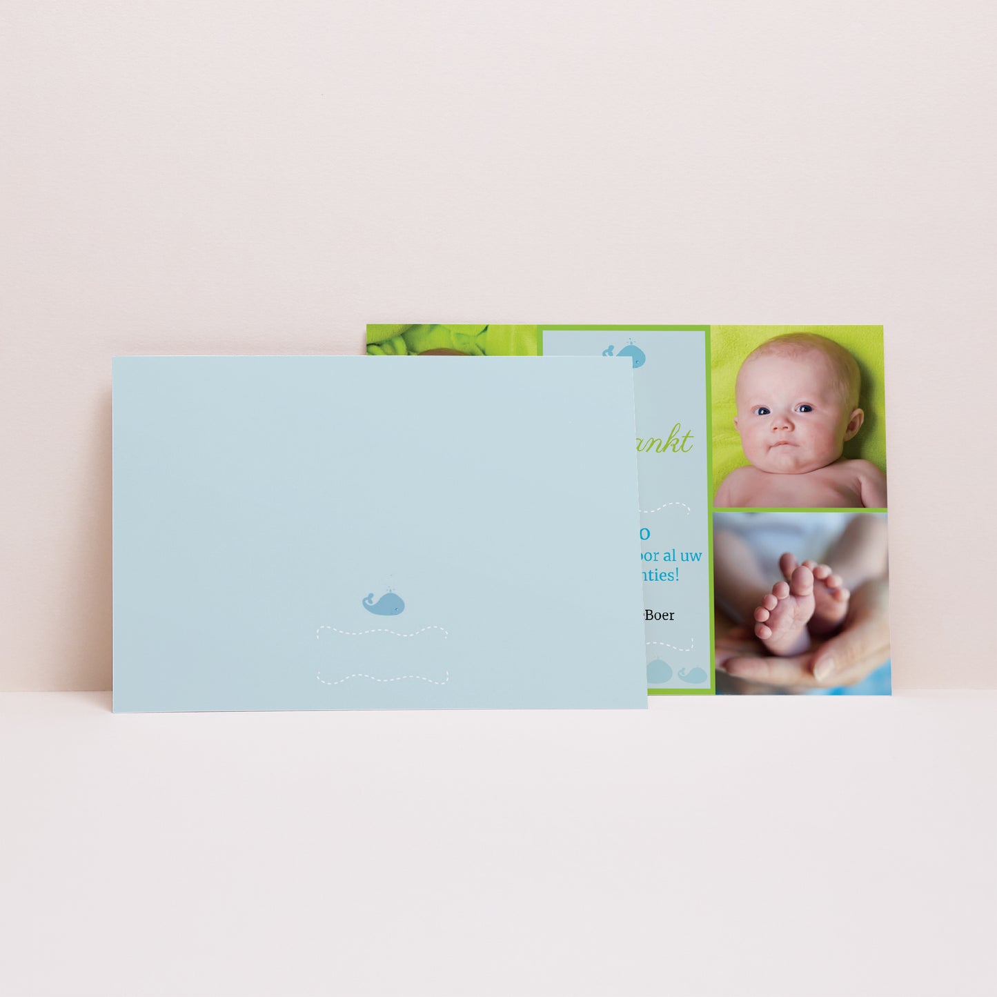 Bedankkaart Geboorte Landschap Baby blauwe vinvis foto N° 2