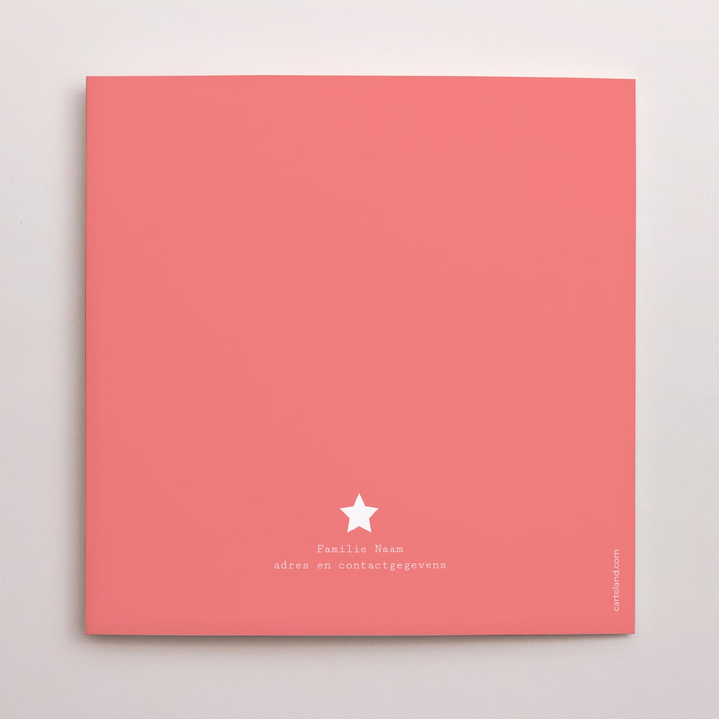 Uitnodigingskaart Geboorte Dubbel vierluik In de sterren foto N° 3