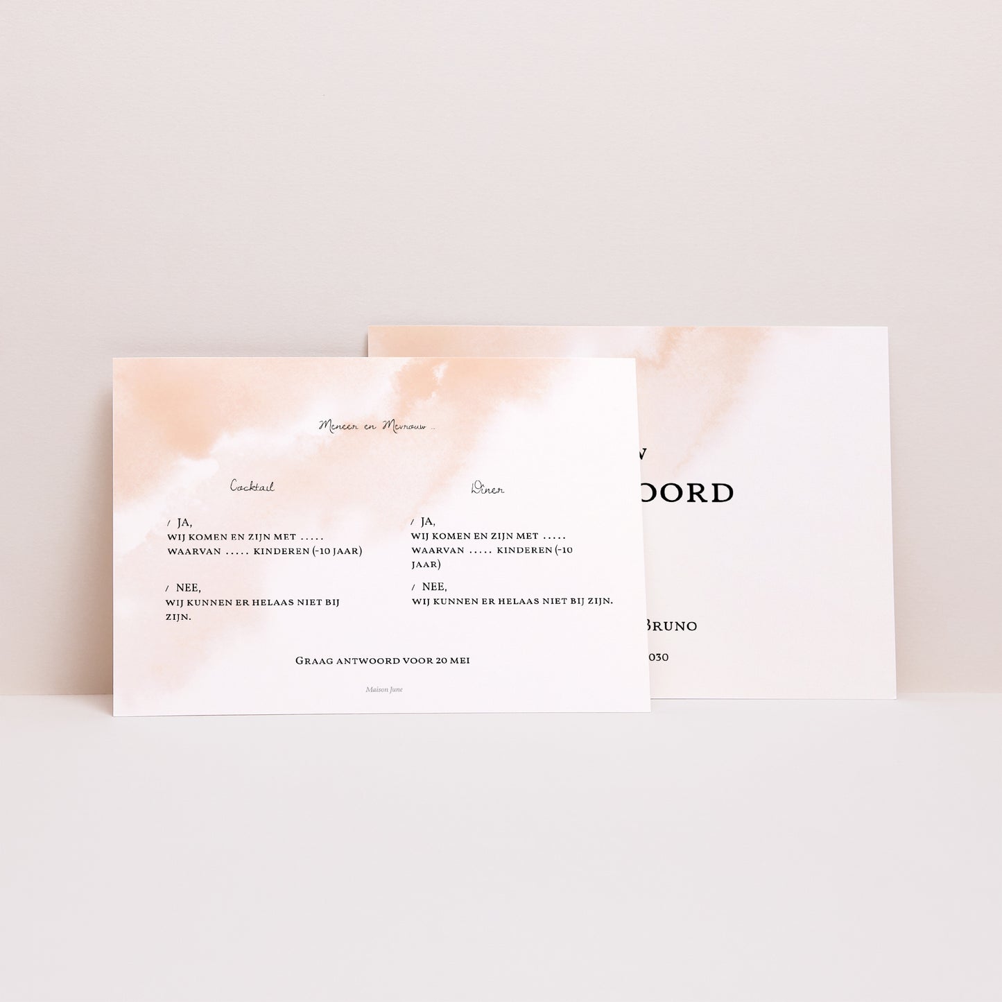 RSVP kaart Huwelijk Landschap Aquarello foto N° 2