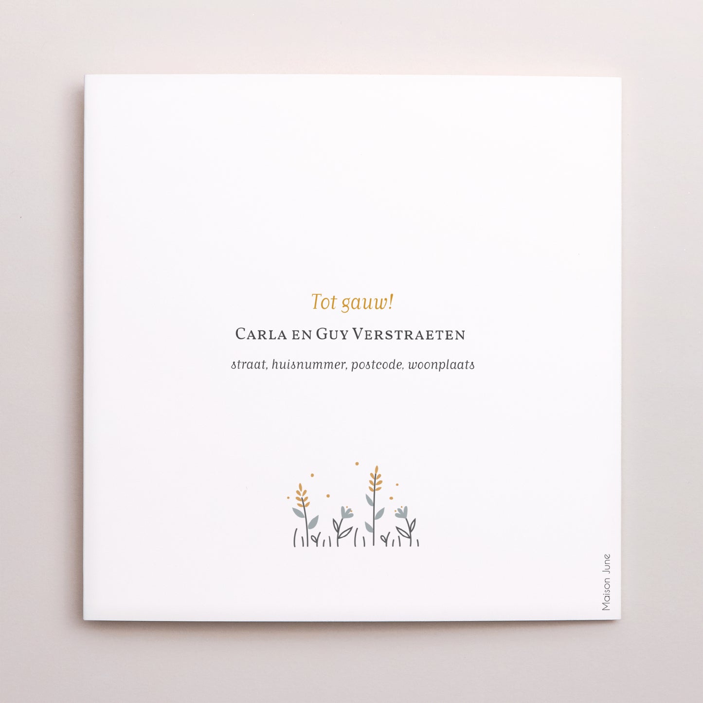 Uitnodigingskaart Geboorte Dubbel vierluik Vrijheid Garçon foto N° 3