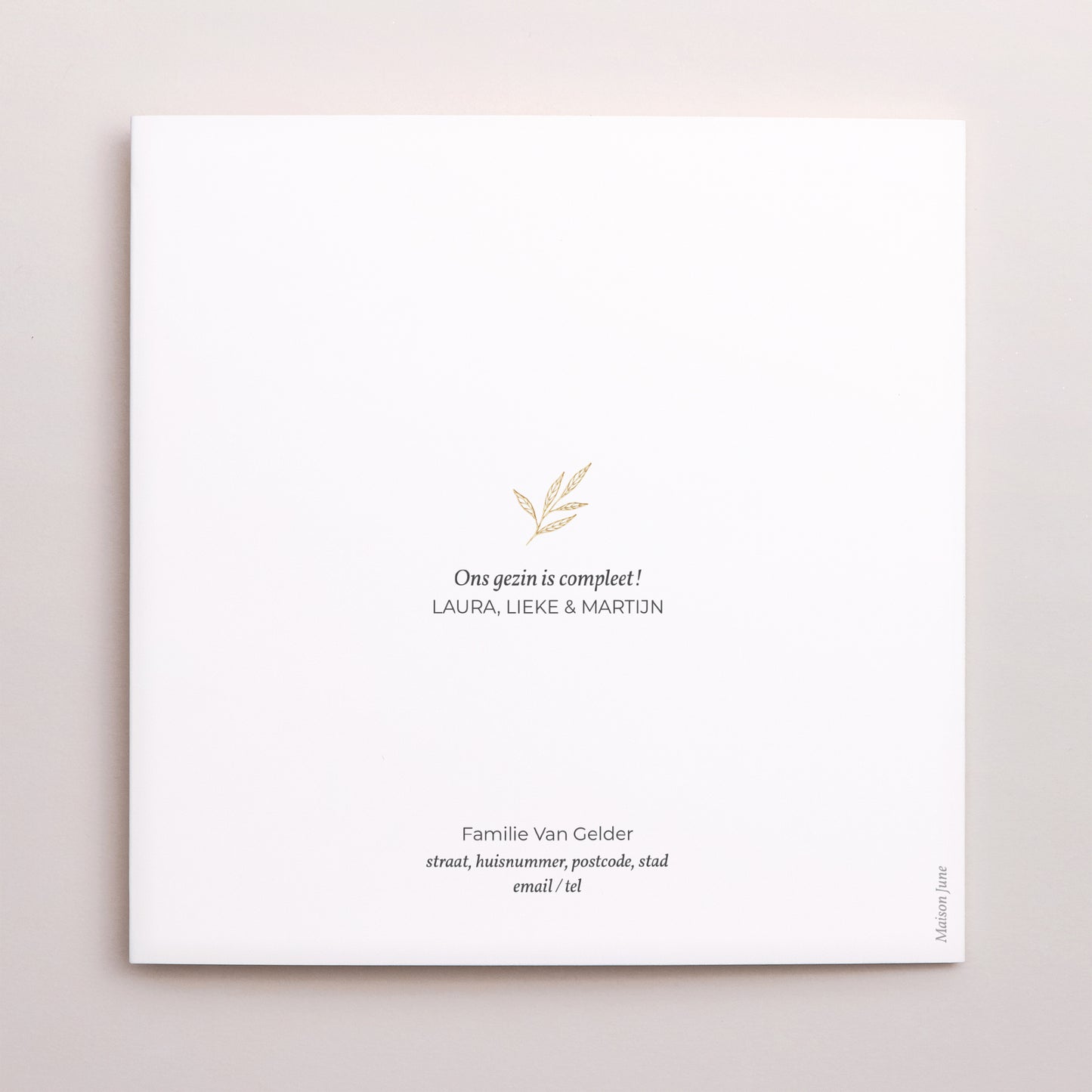 Uitnodigingskaart Geboorte Dubbel vierluik Jolie Pousse foto N° 3