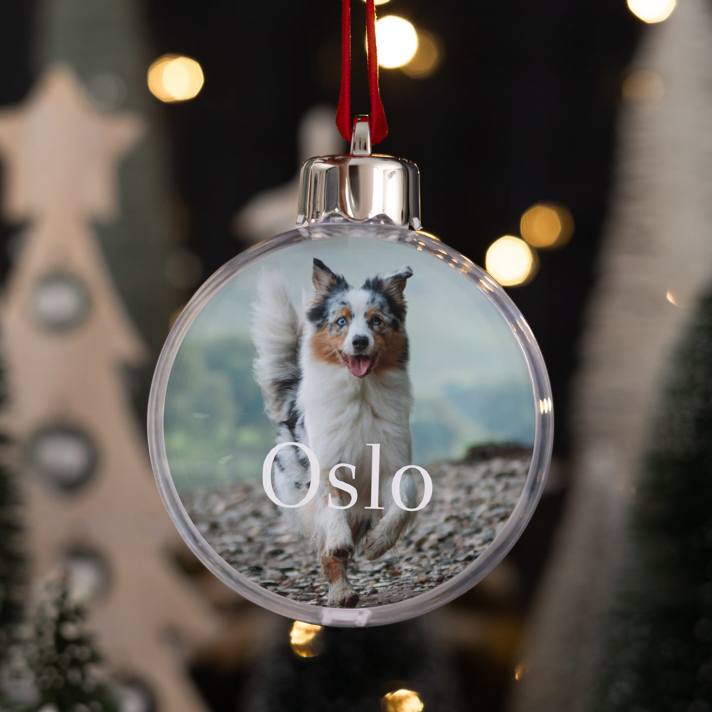 Kerstbal Eindejaar Ronde Hond foto N° 1