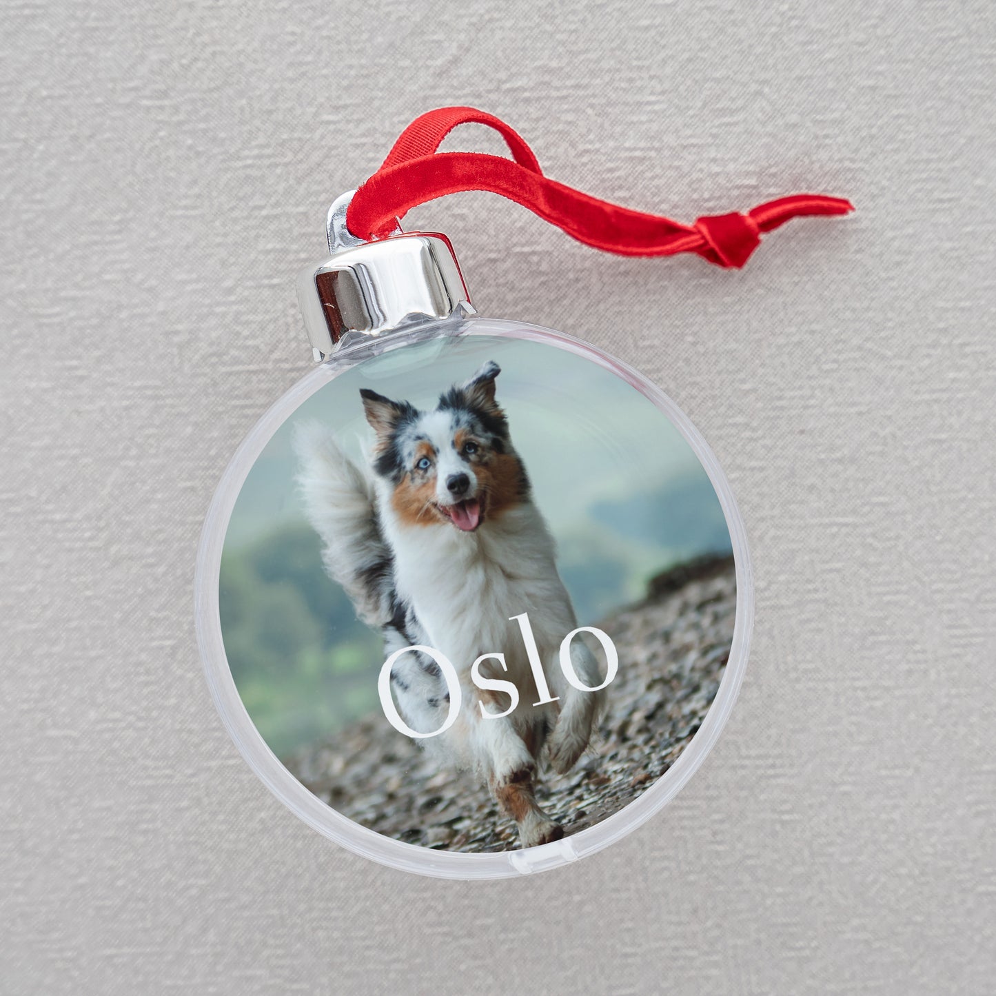 Kerstbal Eindejaar Ronde Hond foto N° 2