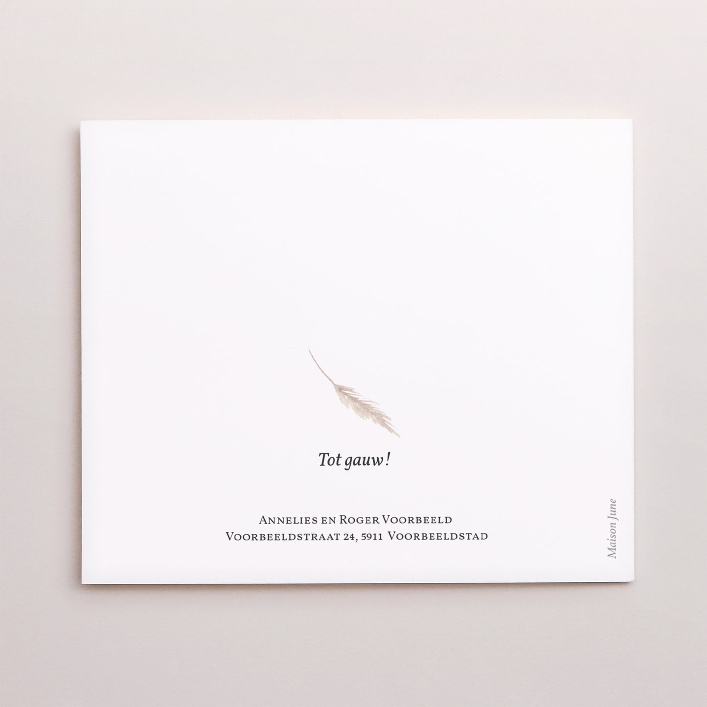 Bedankkaart Geboorte Twee asymmetrische panelen Knuffelkonijn, rieten mand en ballon foto N° 3