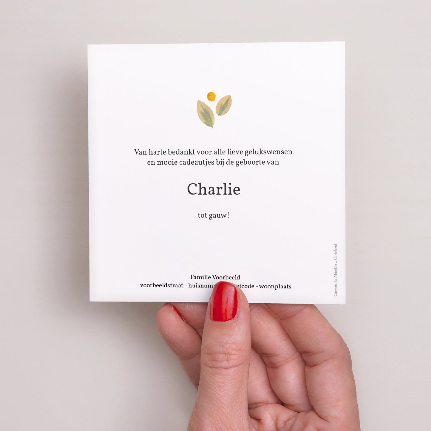 Bedankkaart Geboorte Vierkant chemin des marettes rose foto N° 3