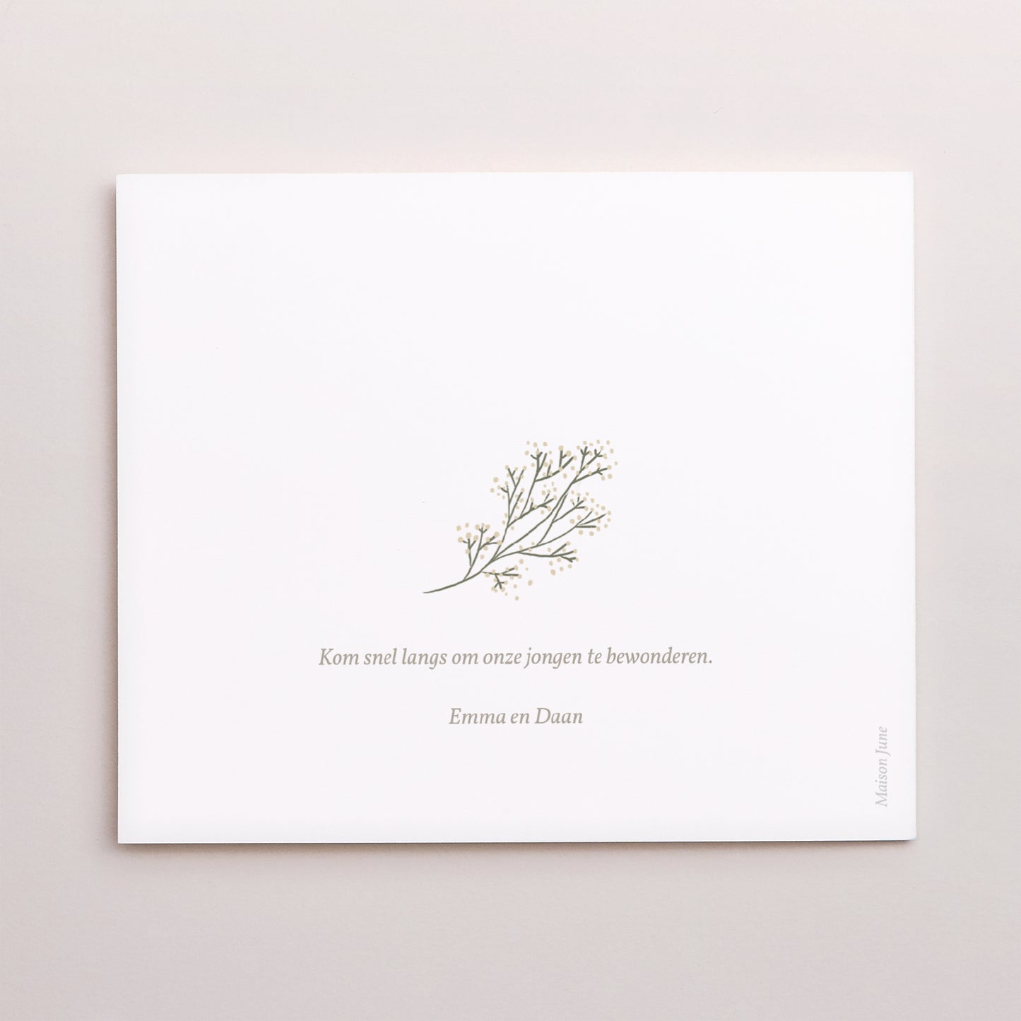 Bedankkaart Geboorte Twee asymmetrische panelen Hallo, kleine streng foto N° 3