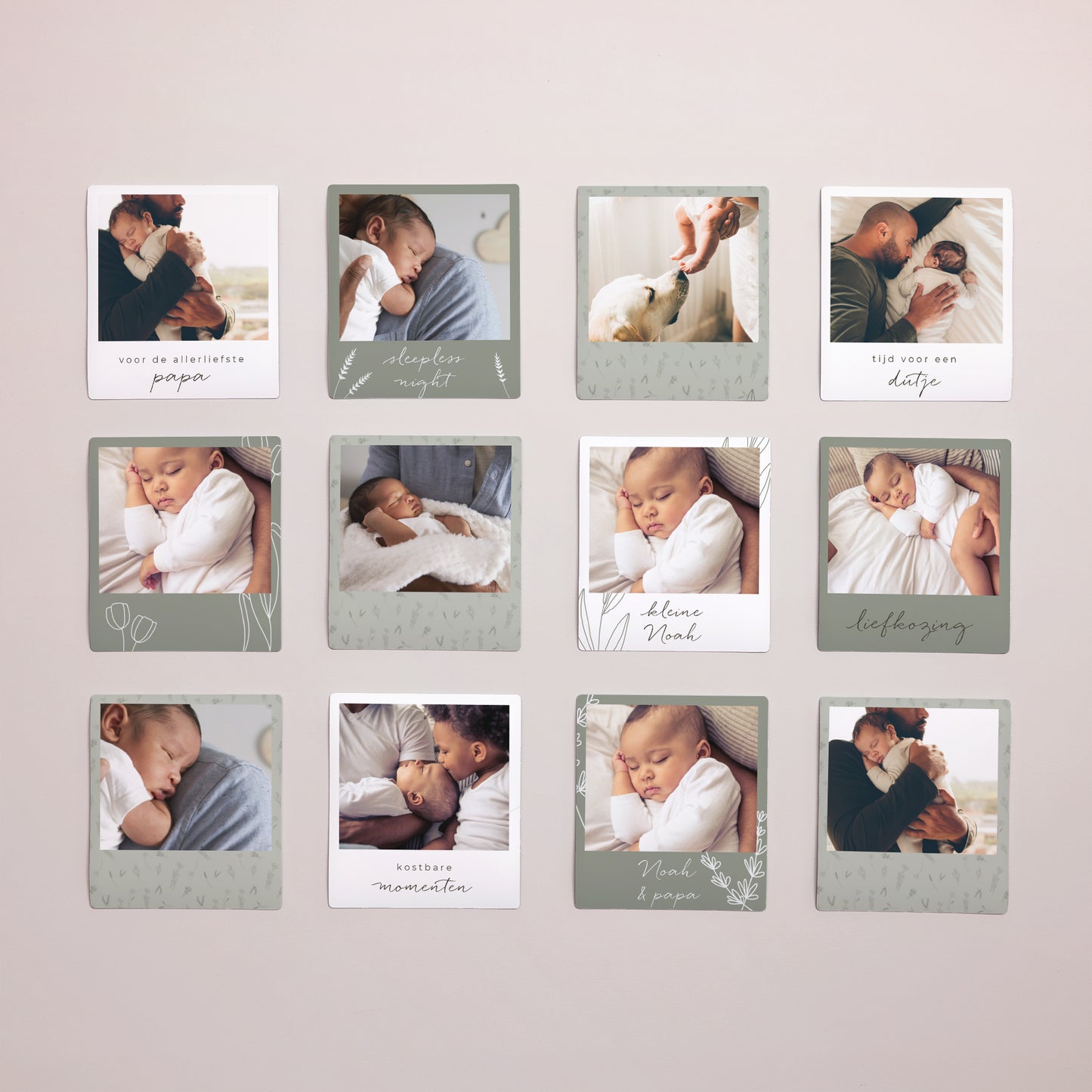 Magneet Objecten Set van 12, magnetisch Papa's kleine herbarium foto N° 1