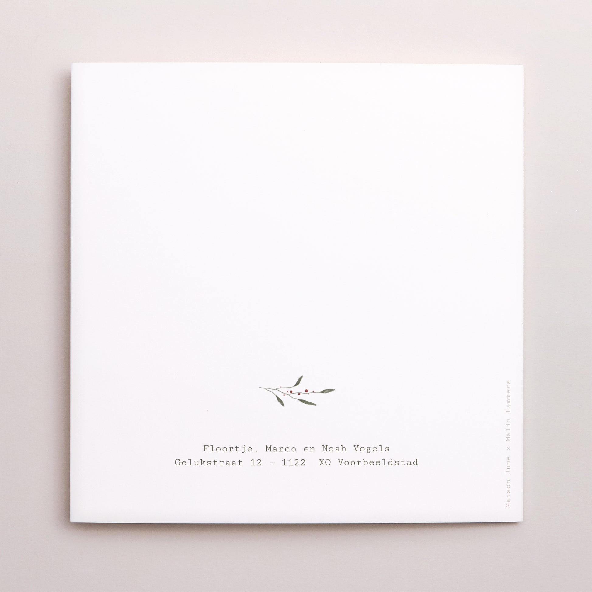 Kerstkaart Eindejaar Dubbel vierluik Kruiden- en bloemenkrans foto N° 3