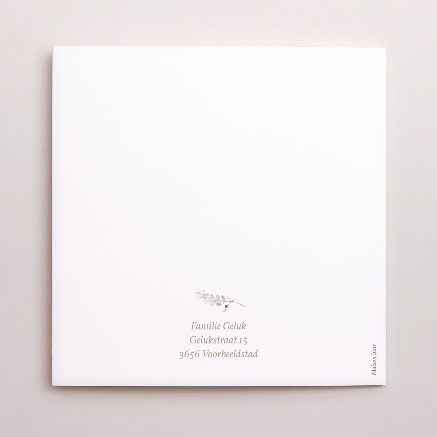 Uitnodigingskaart Geboorte Dubbel vierluik Kraftkrans foto N° 3