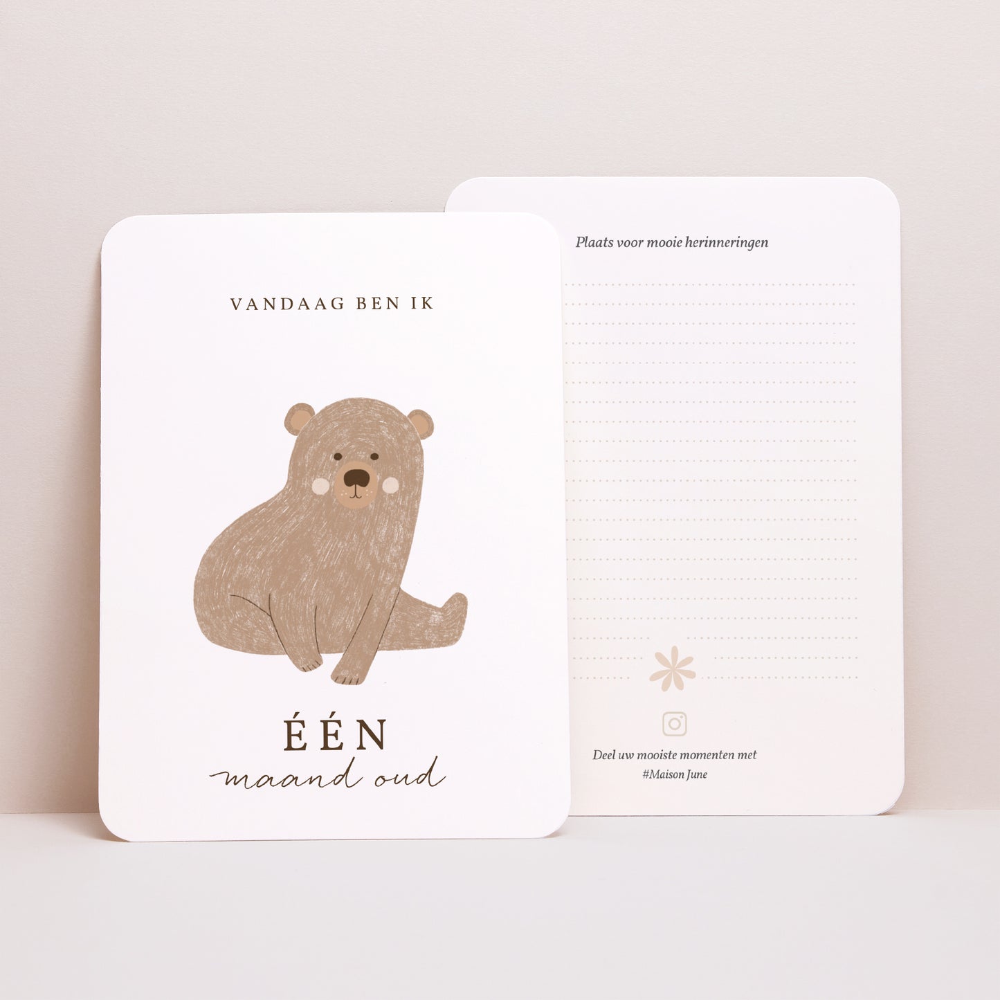 Babystapkaarten Geboorte Set van 12 Onze vriend foto N° 8