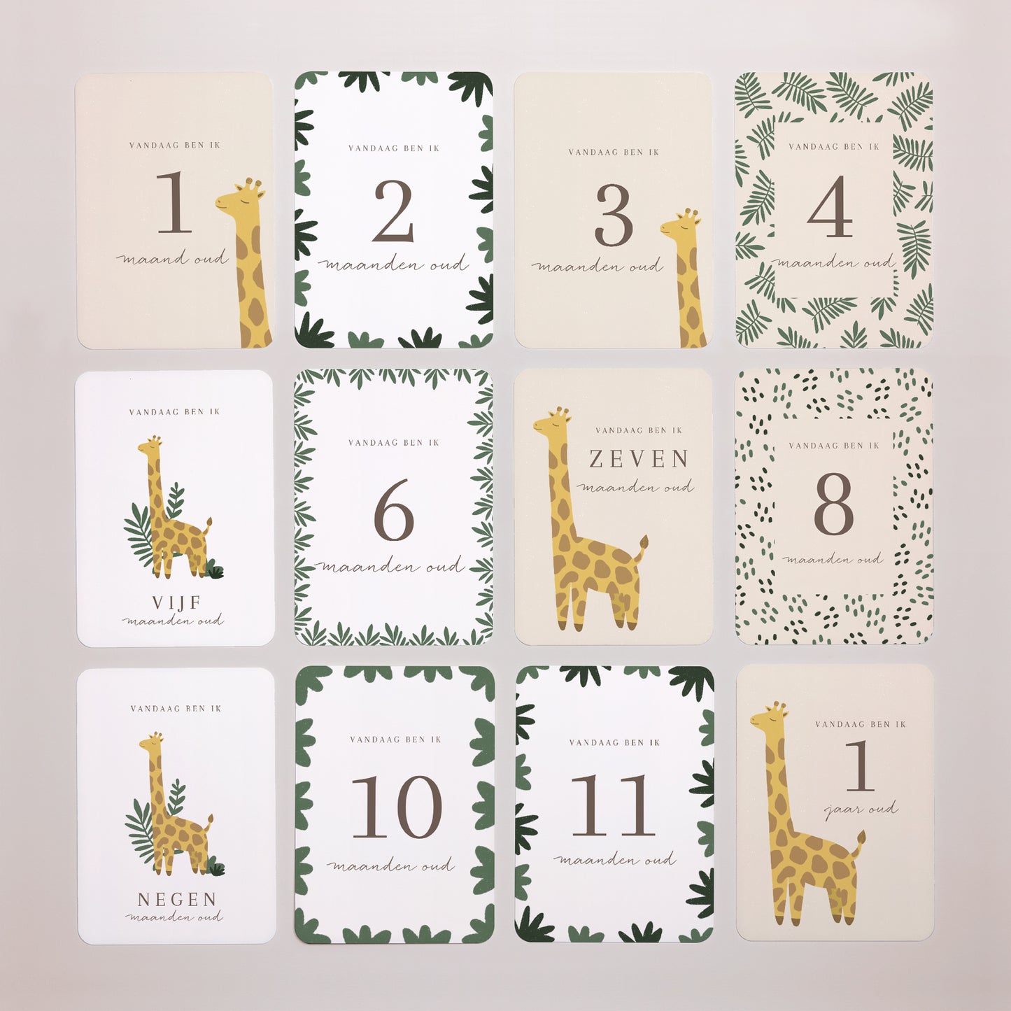 Babystapkaarten Geboorte Set van 12 Giraffe Savanne foto N° 7