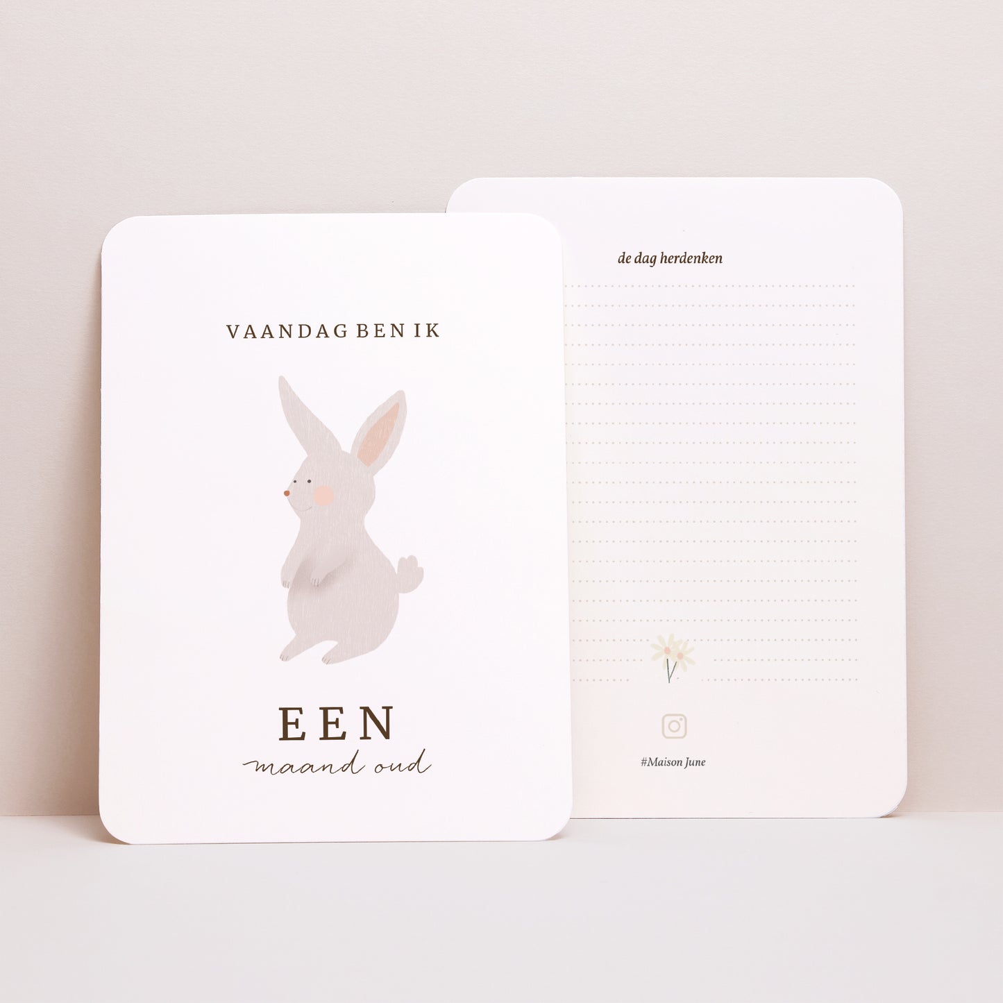 Babystapkaarten Geboorte Set van 12 Fruitige konijn foto N° 4