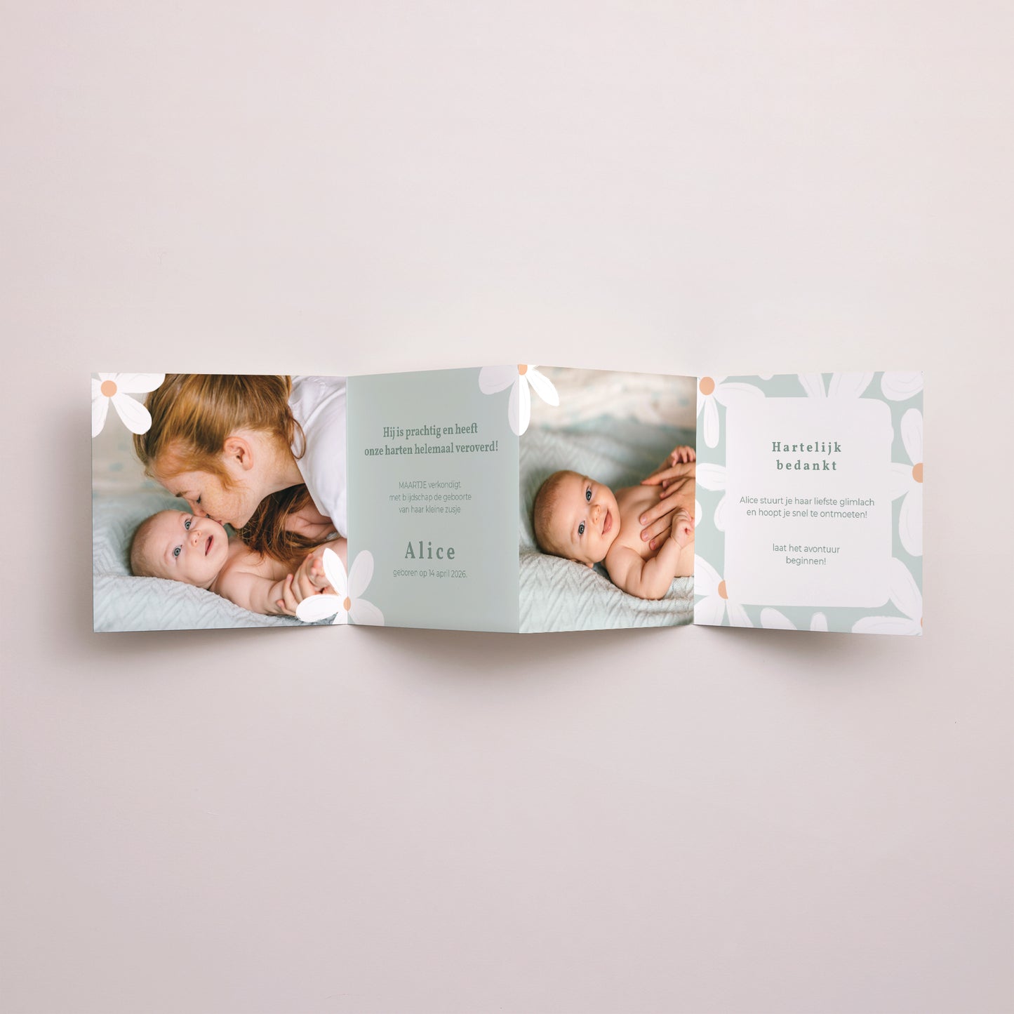 Uitnodigingskaart Geboorte Accordeon Blauwe margrieten foto N° 3