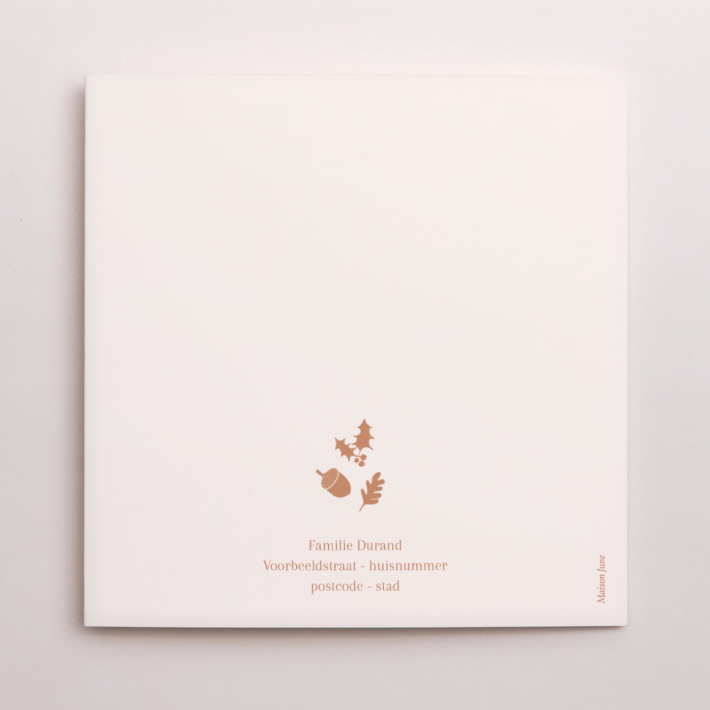 Kerstkaart Eindejaar Dubbel vierluik terracotta kerst circulaire compositie foto N° 3