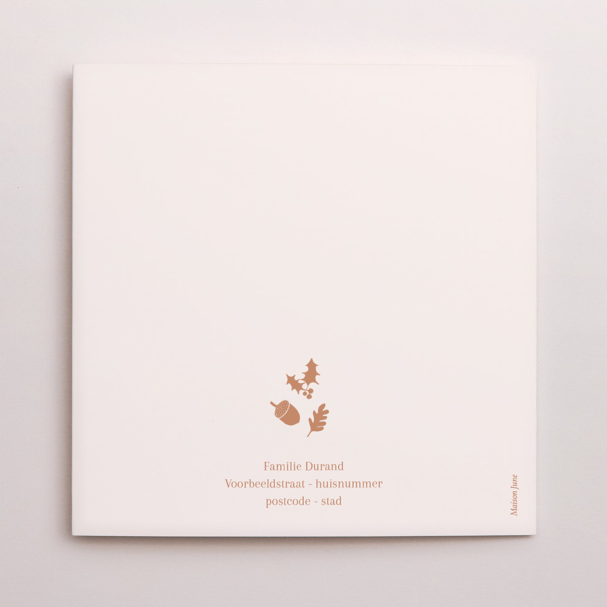 Kerstkaart Eindejaar Dubbel vierluik terracotta kerst circulaire compositie foto N° 3