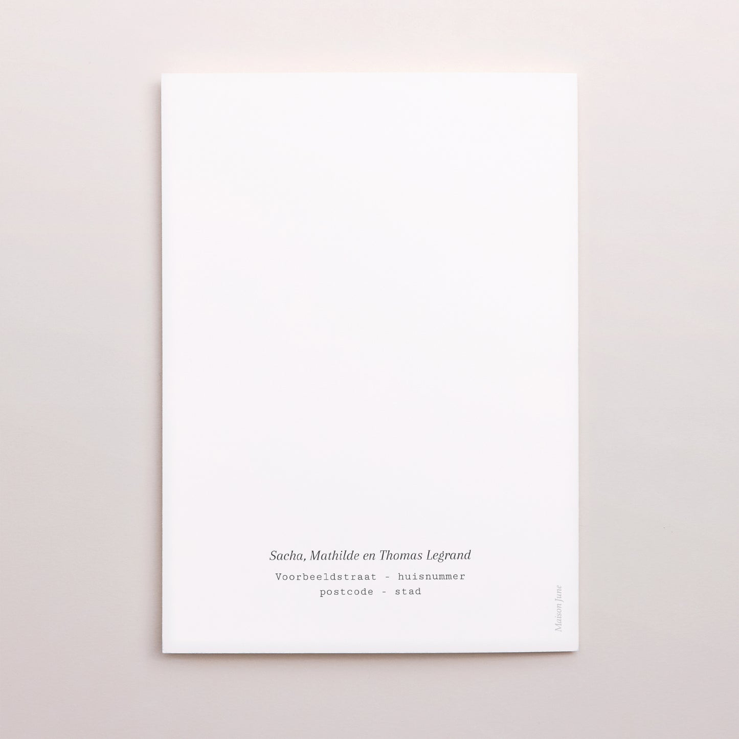 Wenskaart Eindejaar Portret dubbele vouw kerstmotief, blauwe tinten foto N° 3