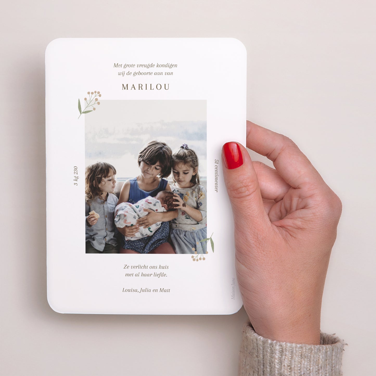 Uitnodigingskaart Geboorte Portret, afgeronde randen egel, bessenmotief foto N° 3