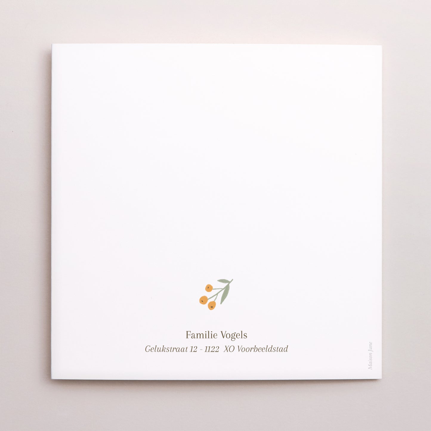 Uitnodigingskaart Geboorte Drieluiks vensteropening Poussin & motieven foto N° 3