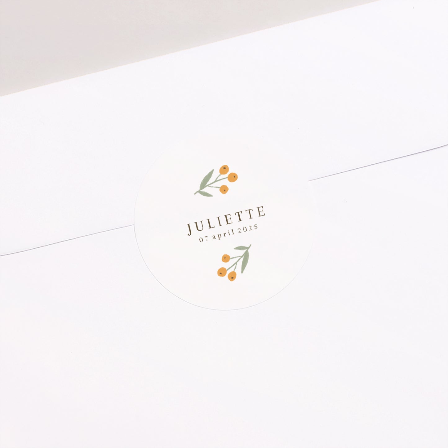 Sticker Geboorte Cirkel Poussin & motieven foto N° 1
