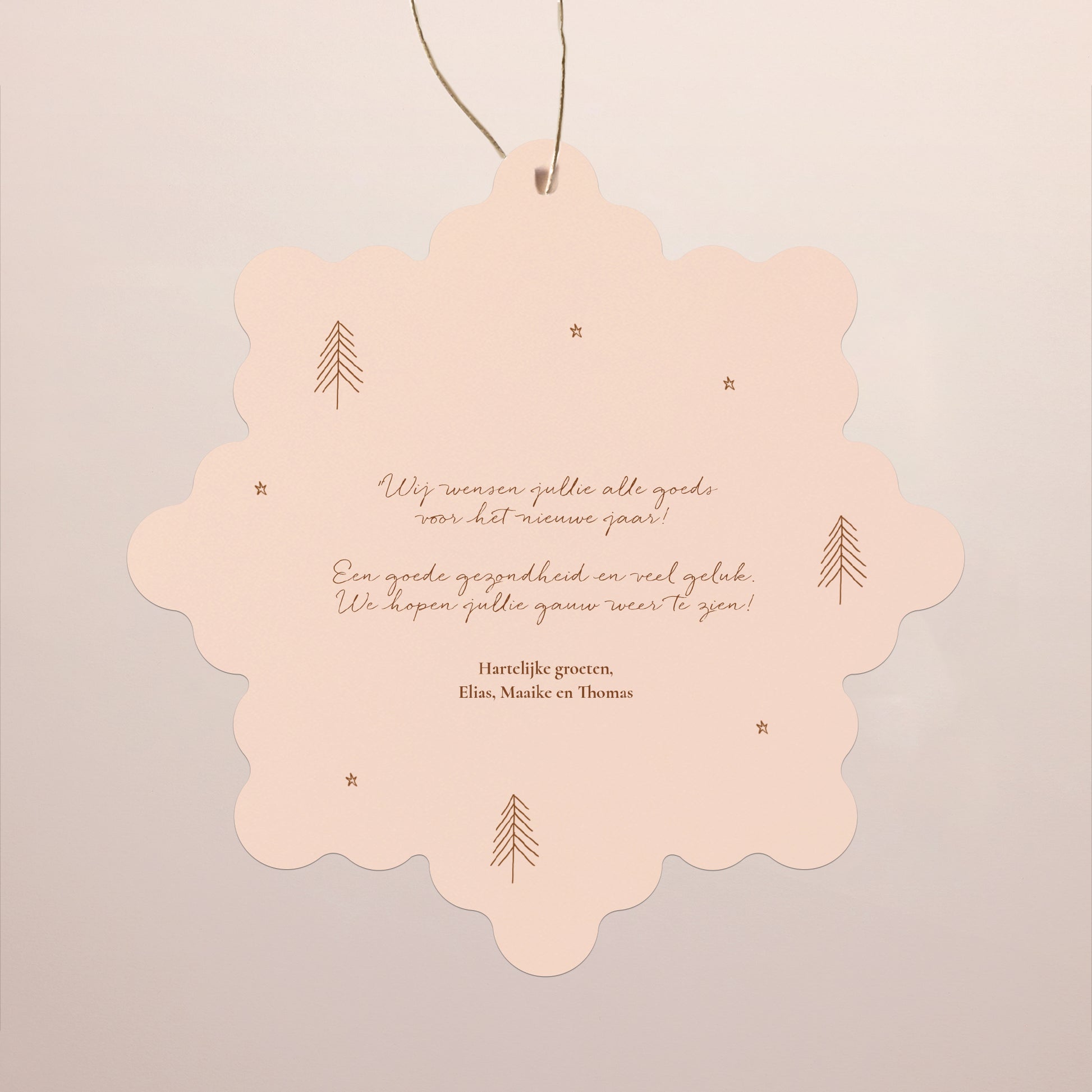 Kerstkaart Eindejaar Sneeuwvlok om op te hangen Winterhuizen foto N° 2