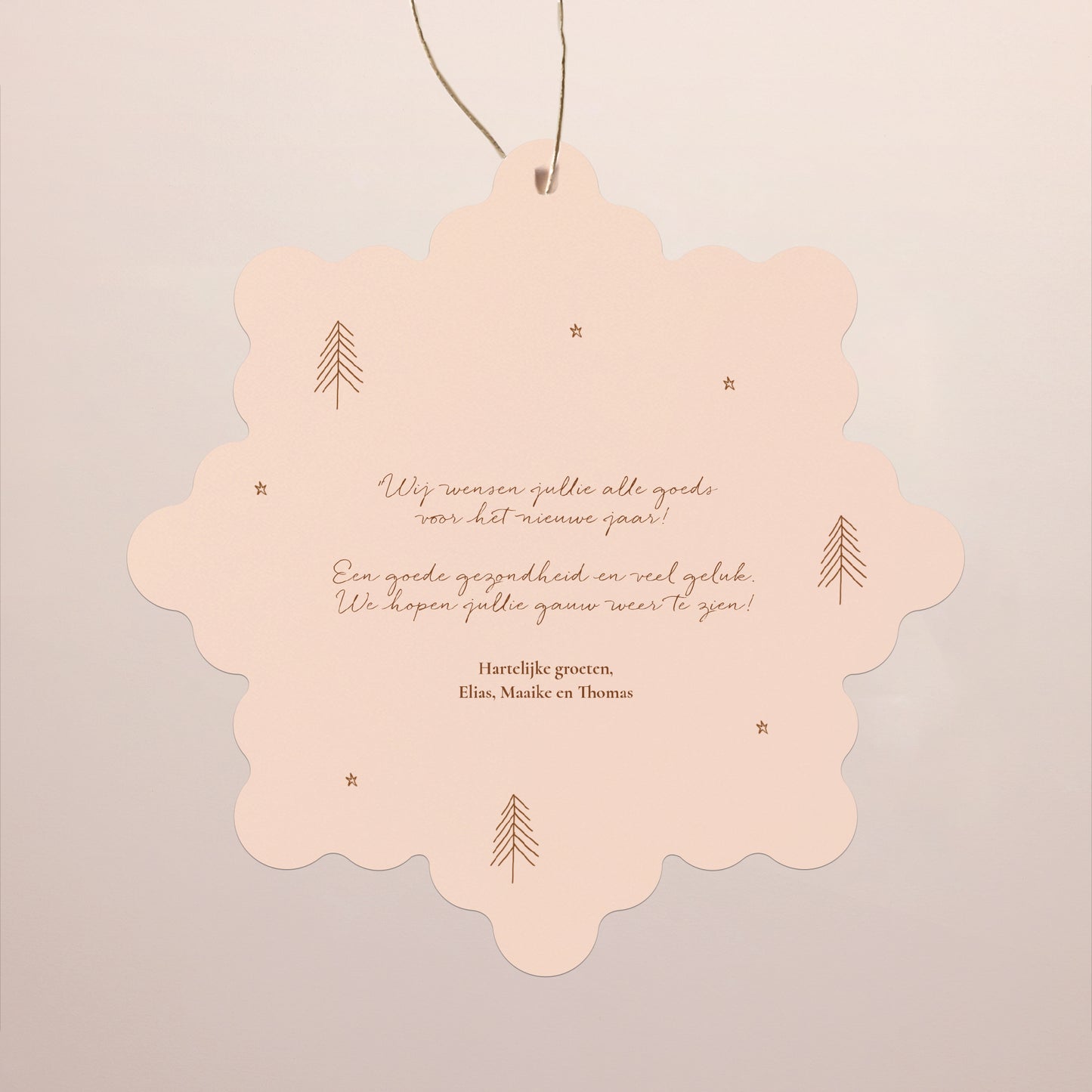 Kerstkaart Eindejaar Sneeuwvlok om op te hangen Winterhuizen foto N° 2