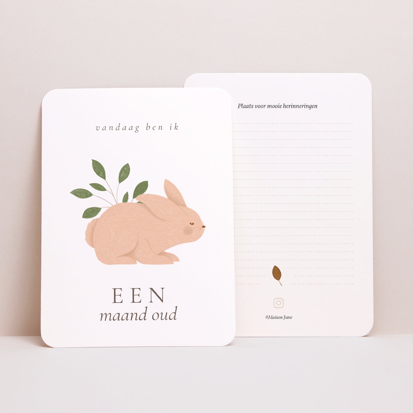 Babystapkaarten Geboorte Set van 12 Er waren eens dieren in het bos foto N° 4