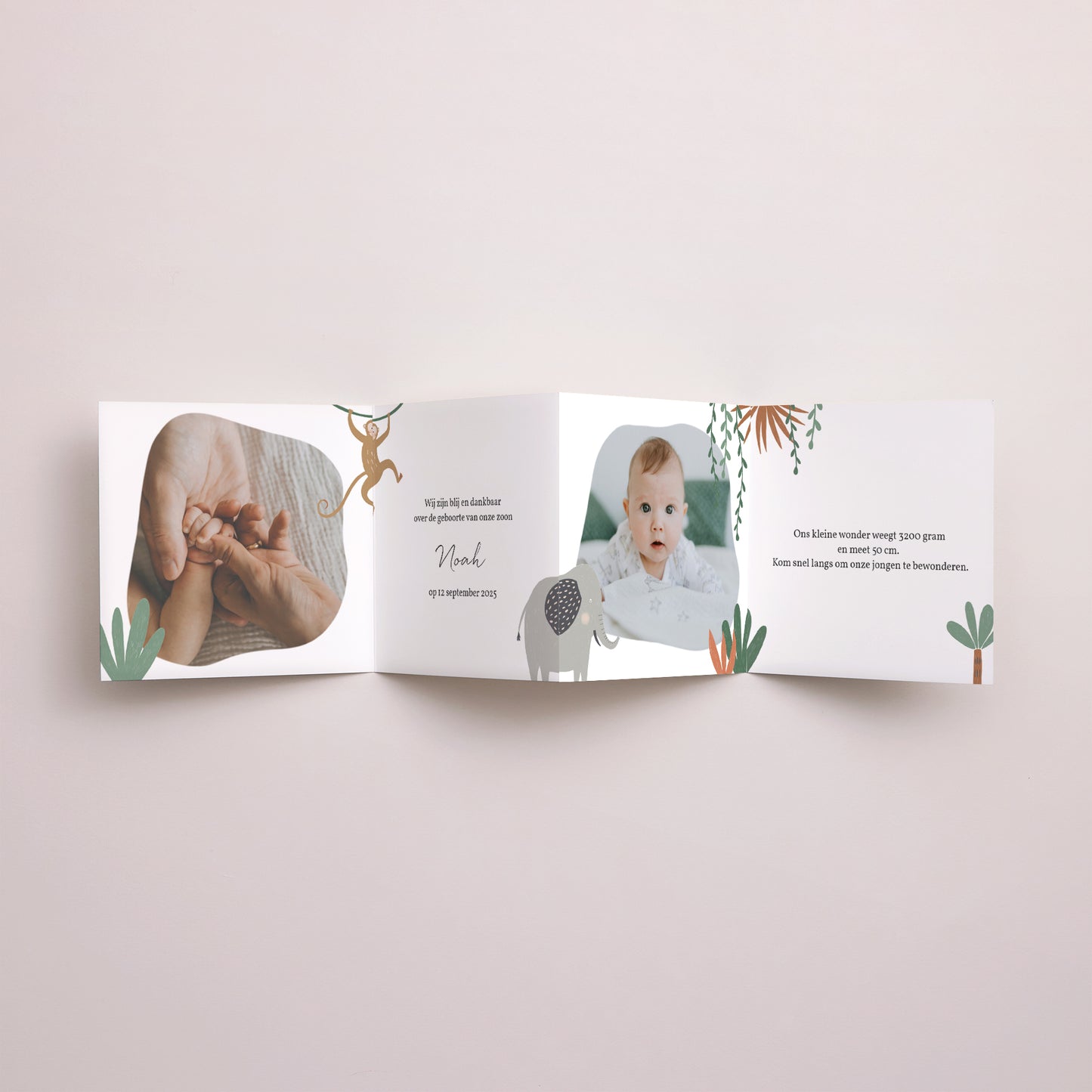 Uitnodigingskaart Geboorte Accordeon De Dieren van Afrika II foto N° 3