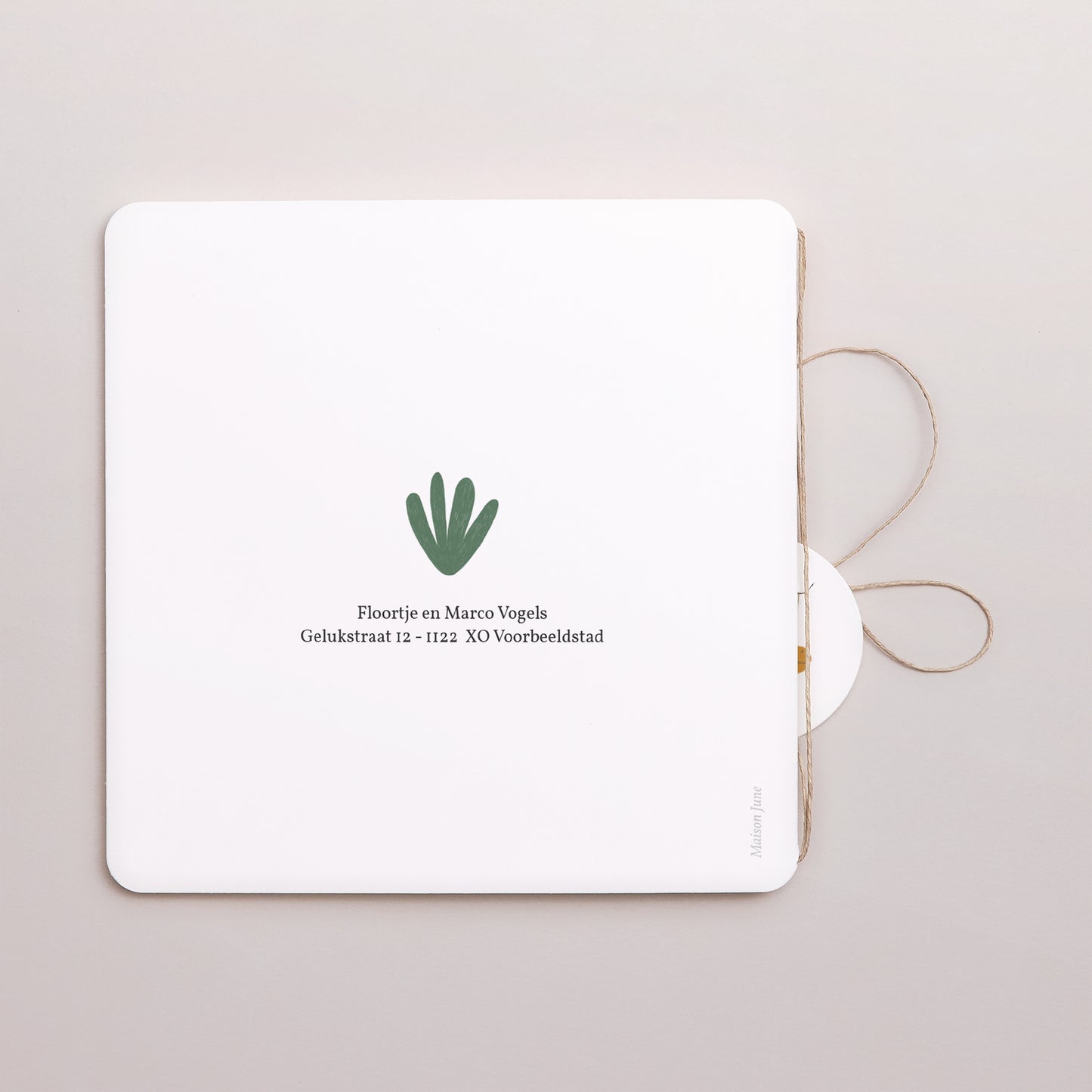 Uitnodigingskaart Geboorte Dubbel vierkant vouw, afgeronde hoeken, ronde label. De Dieren van Afrika II foto N° 3