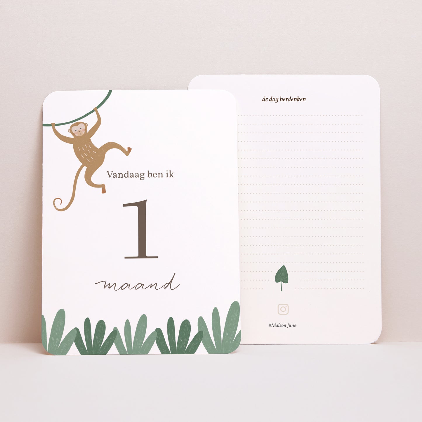 Babystapkaarten Geboorte Set van 12 De Dieren van Afrika II foto N° 4