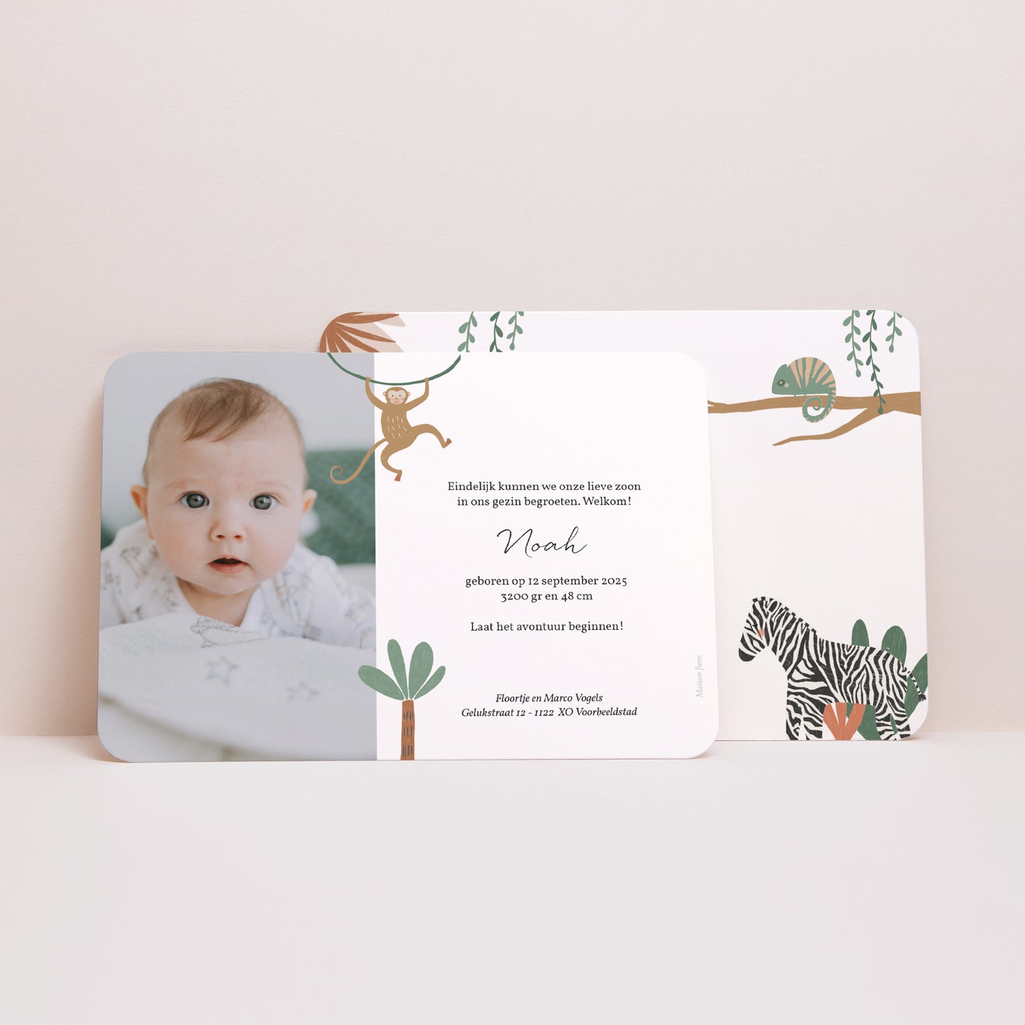 Uitnodigingskaart Geboorte Landschap, afgeronde randen De Dieren van Afrika II foto N° 3