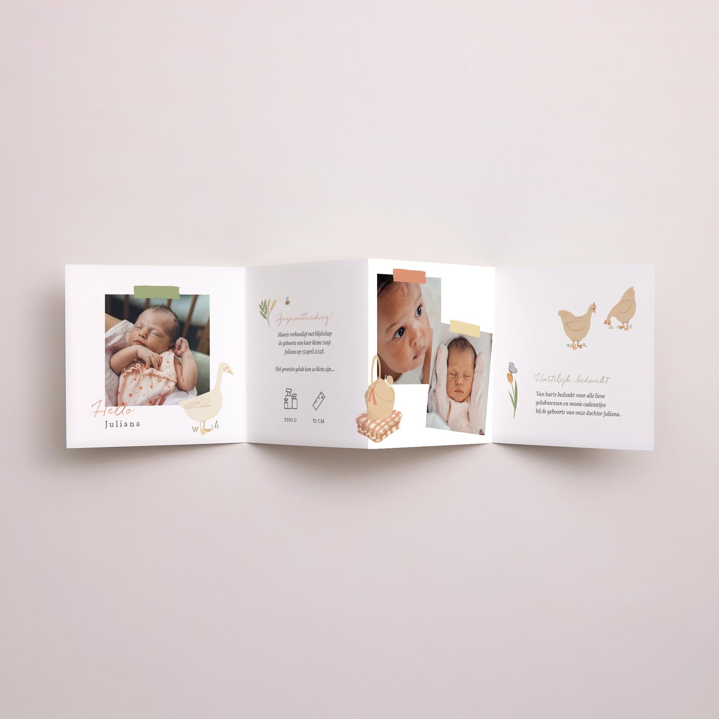 Uitnodigingskaart Geboorte Accordeon foto N° 3