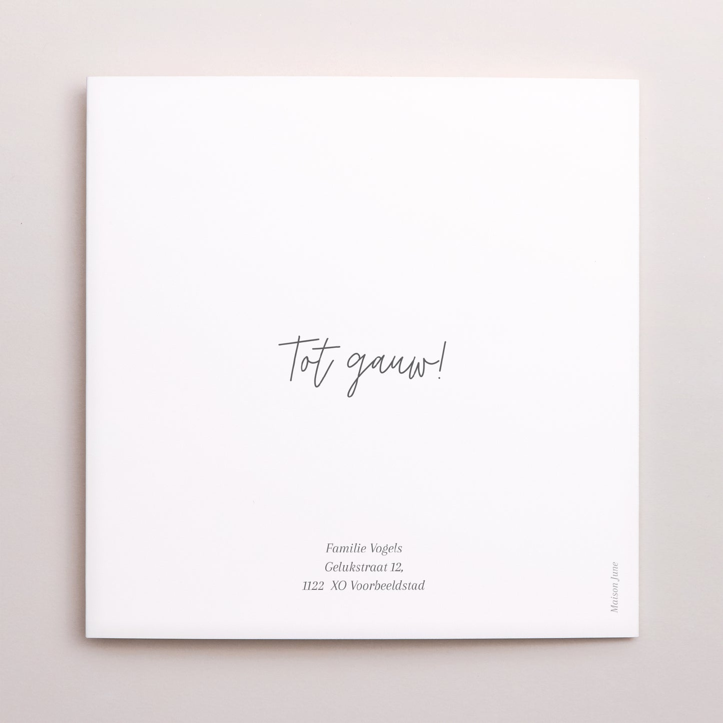 Uitnodigingskaart Geboorte Dubbel vierluik Câlin Tout Doux foto N° 3