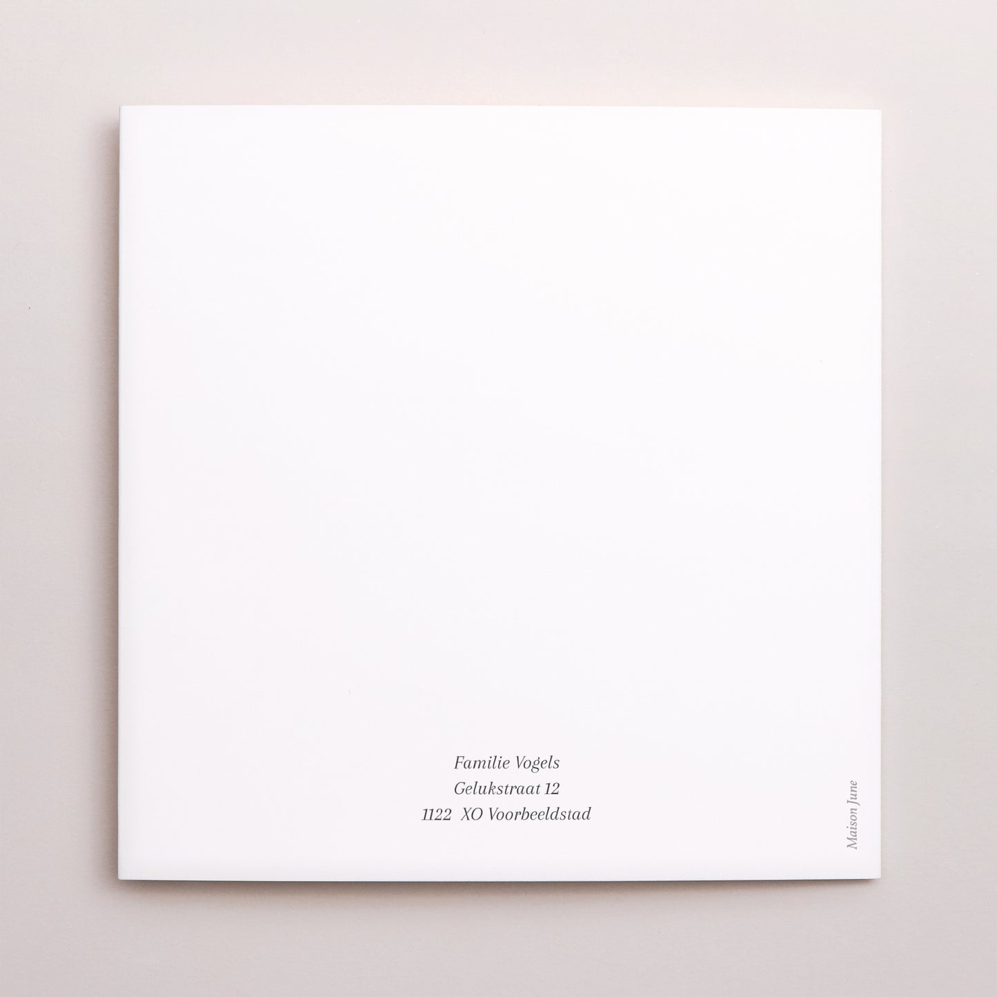 Kerstkaart Eindejaar Dubbel vierluik foto N° 3