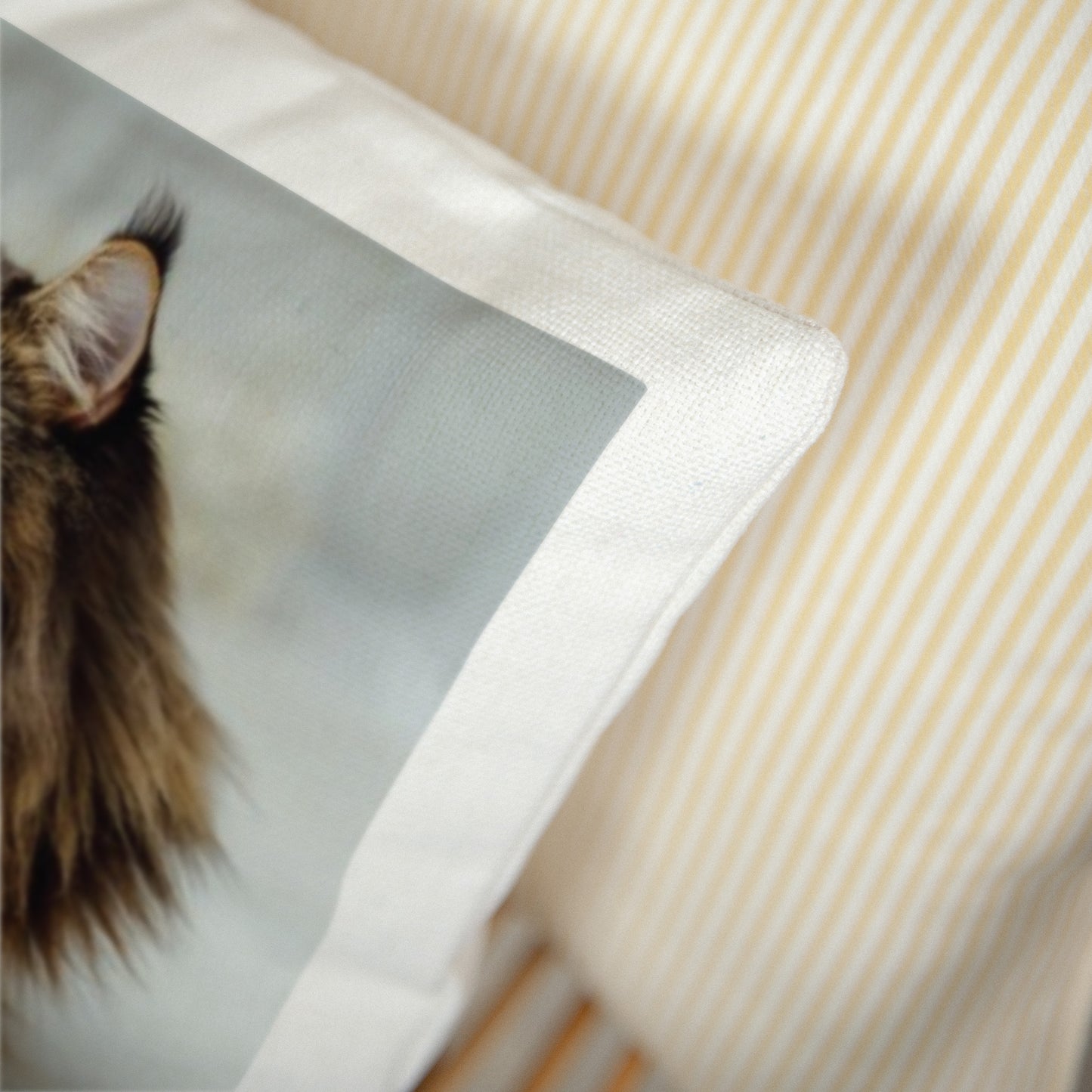 Kussen Objecten Natuurlijk beige De knuffeligste foto N° 3