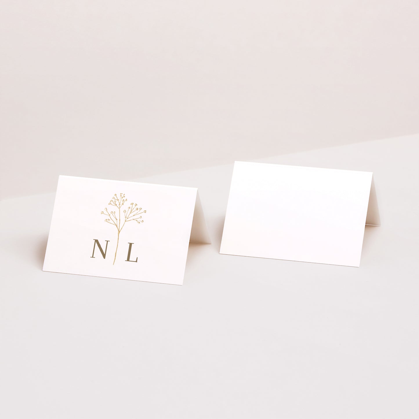 Naamkaartjes Huwelijk 2 luiken Elegante gypsophile foto N° 1
