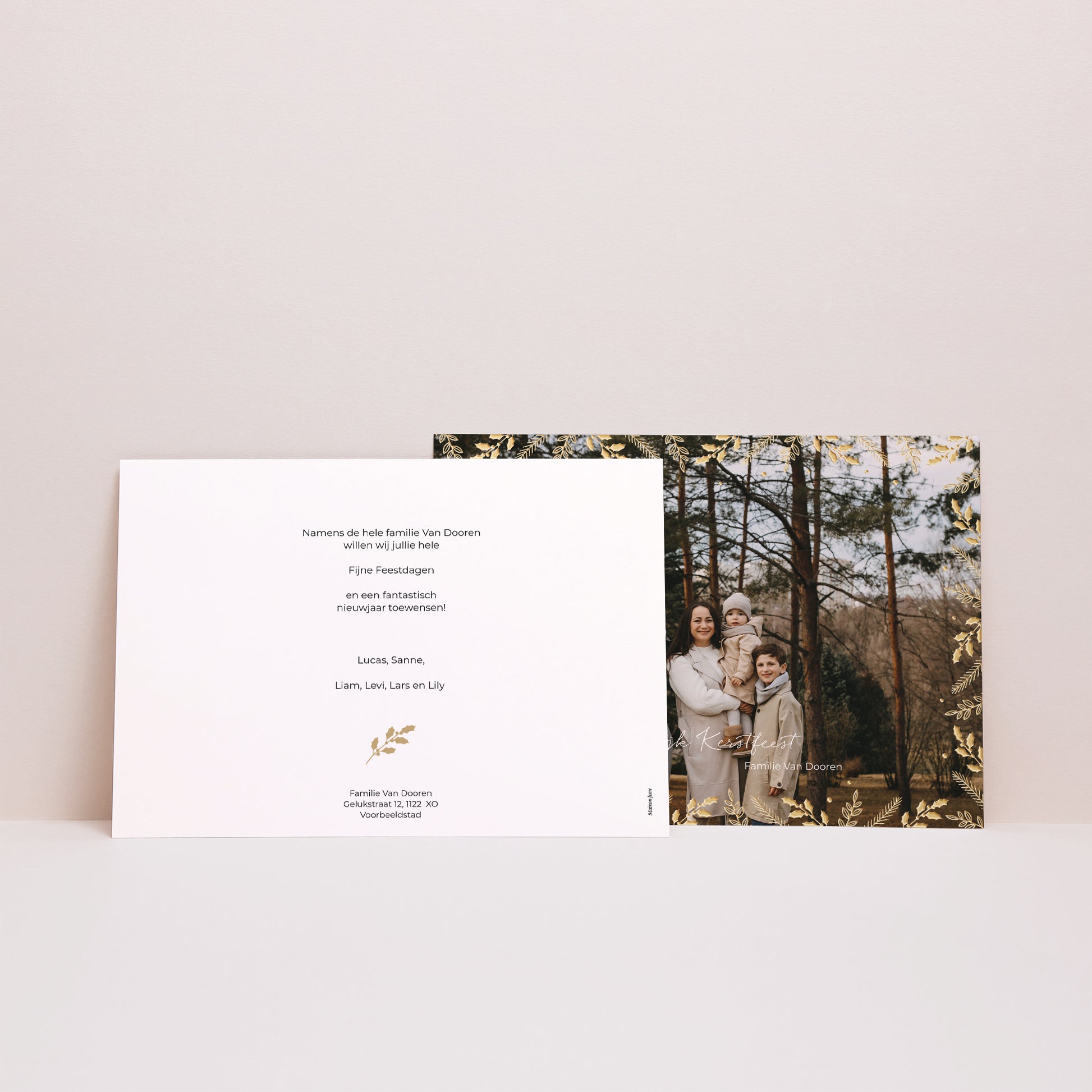 Kerstkaart Eindejaar Landschap Kader met bladgoud foto N° 2