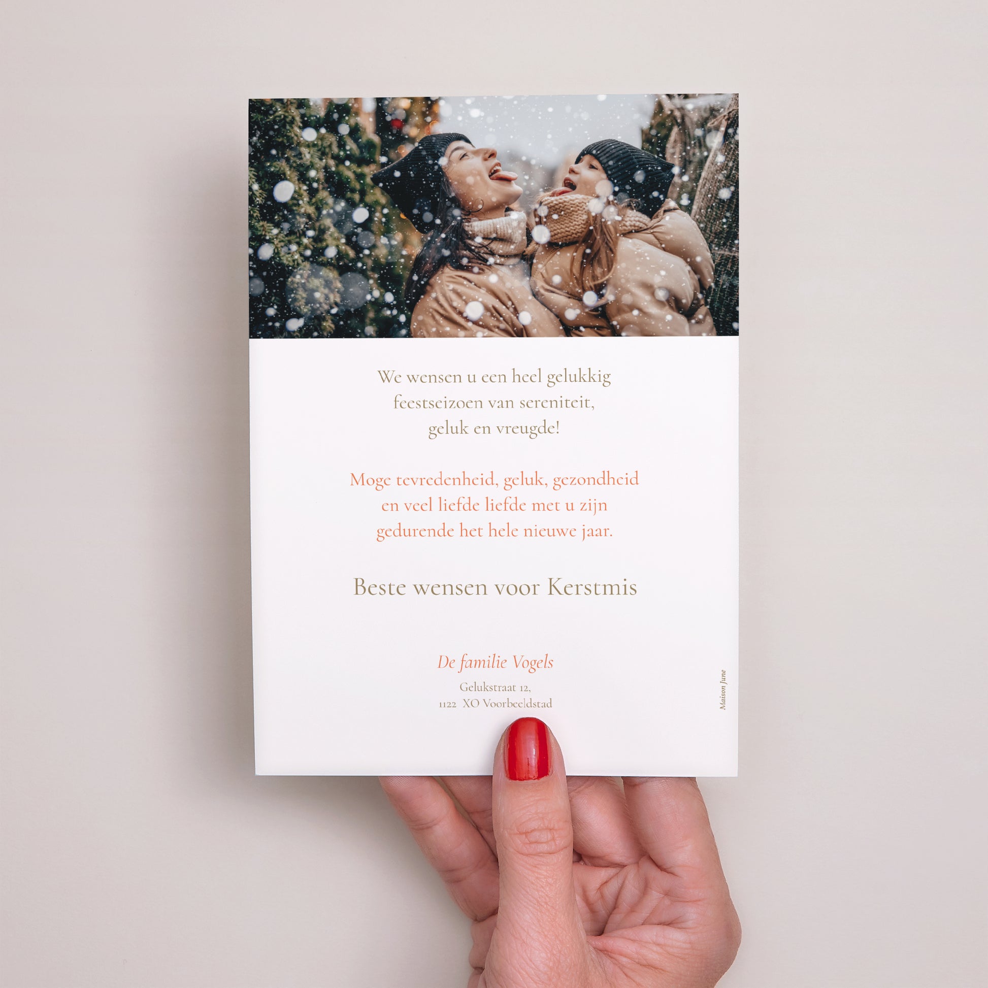 Kerstkaart Eindejaar Minnesota foto N° 3