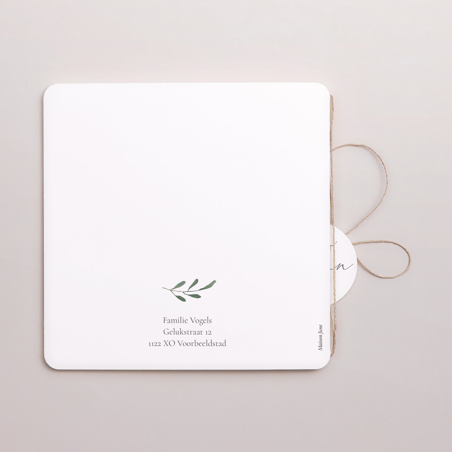 Uitnodigingskaart Geboorte Dubbel vierkant vouw, afgeronde hoeken, ronde label. De vlucht - jongen foto N° 3