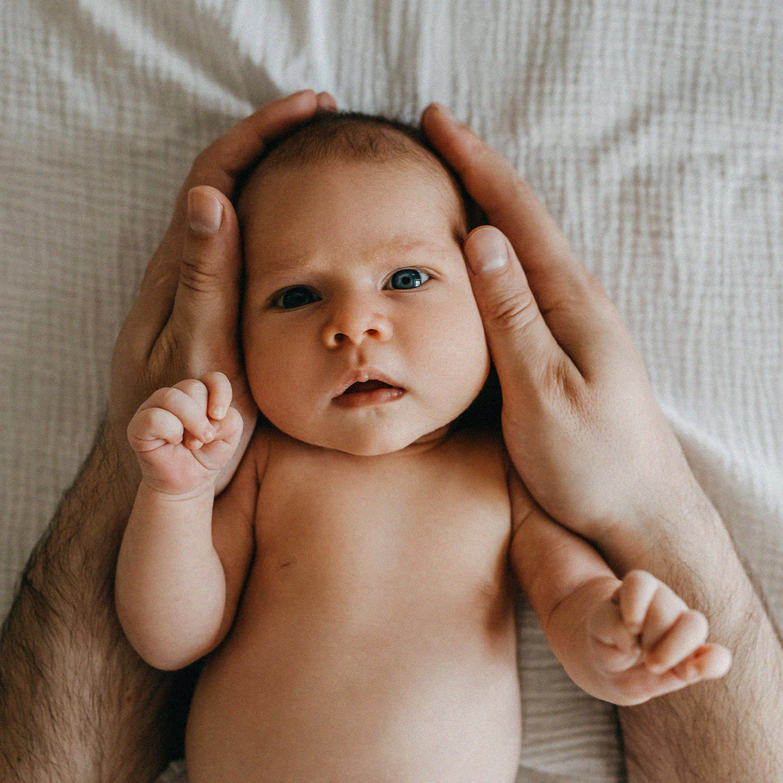 Bébé tenu par papa