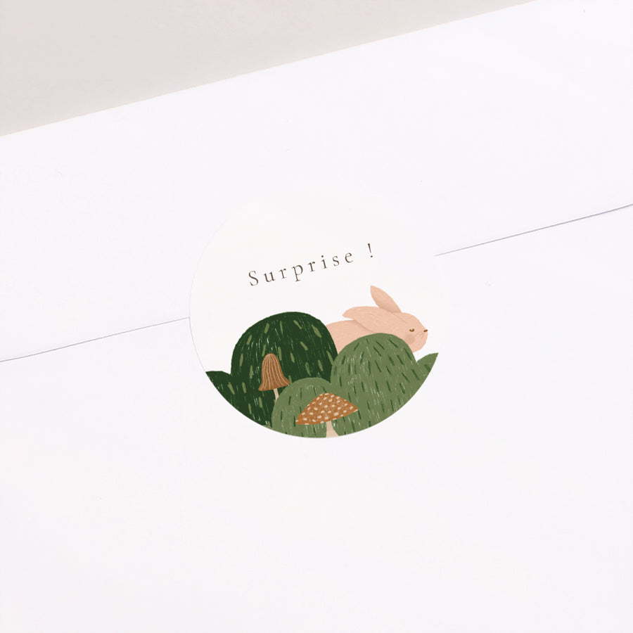 Sticker Geboorte Cirkel Er waren eens dieren in het bos foto