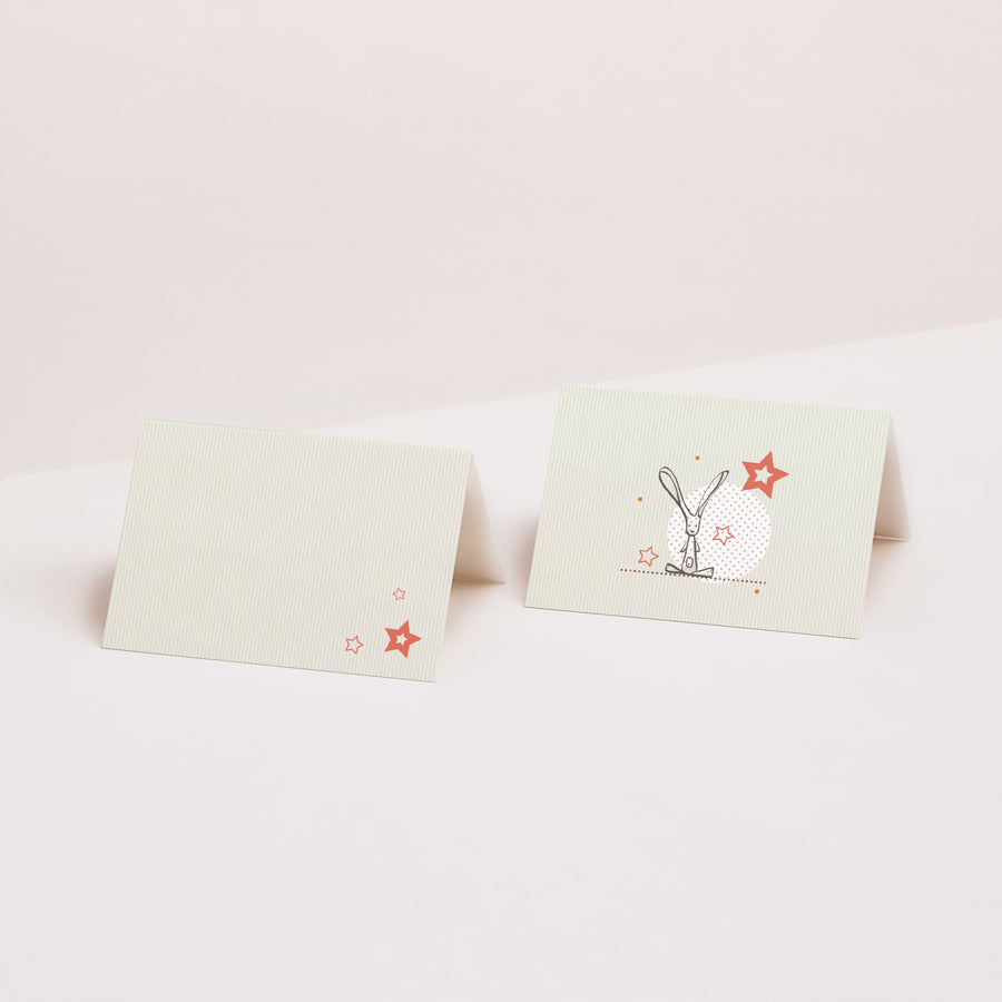 Naamkaartjes Doop 2 luiken Zacht foto