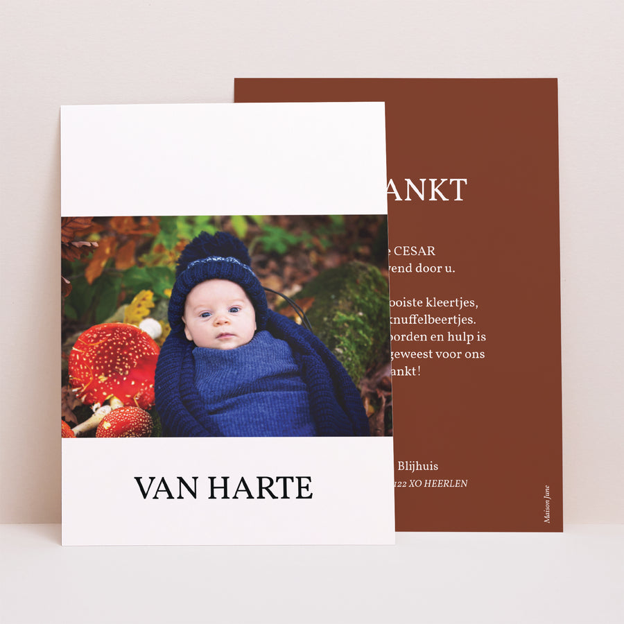 Bedankkaart Geboorte Portret Renard Roux foto