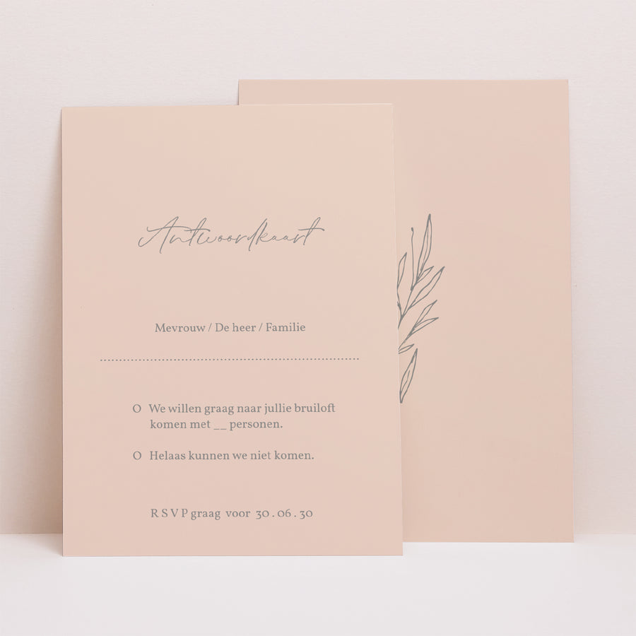 RSVP kaart Huwelijk Portret Je pastel foto