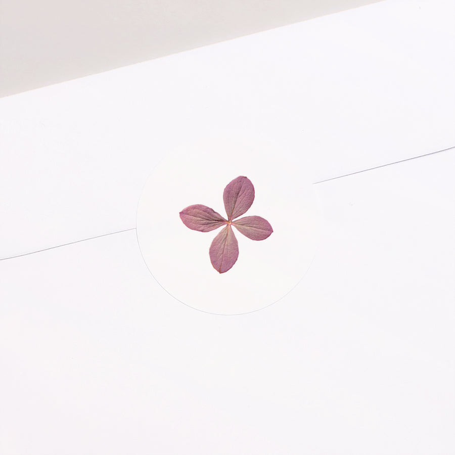 Sticker Geboorte Cirkel chemin des marettes rose foto
