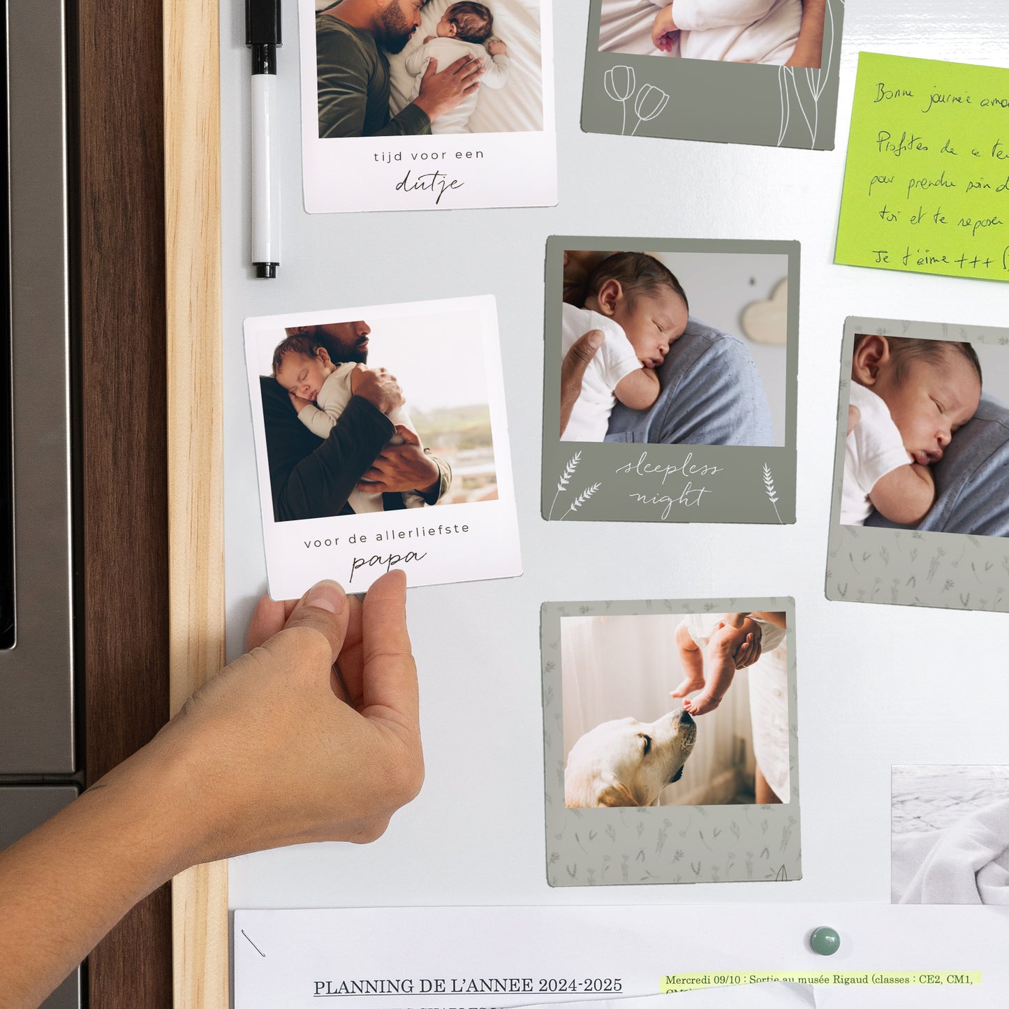 Magneet Objecten Set van 12, magnetisch Papa's kleine herbarium foto N° 2