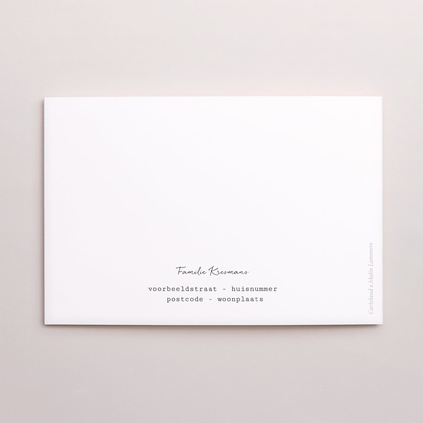 Kerstkaart Eindejaar Dubbele landschapspanelen Kerstseizoen foto N° 3