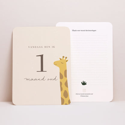 Babystapkaarten Geboorte Set van 12 Giraffe Savanne foto N° 2