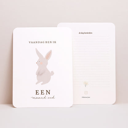 Babystapkaarten Geboorte Set van 12 Fruitige konijn foto N° 4