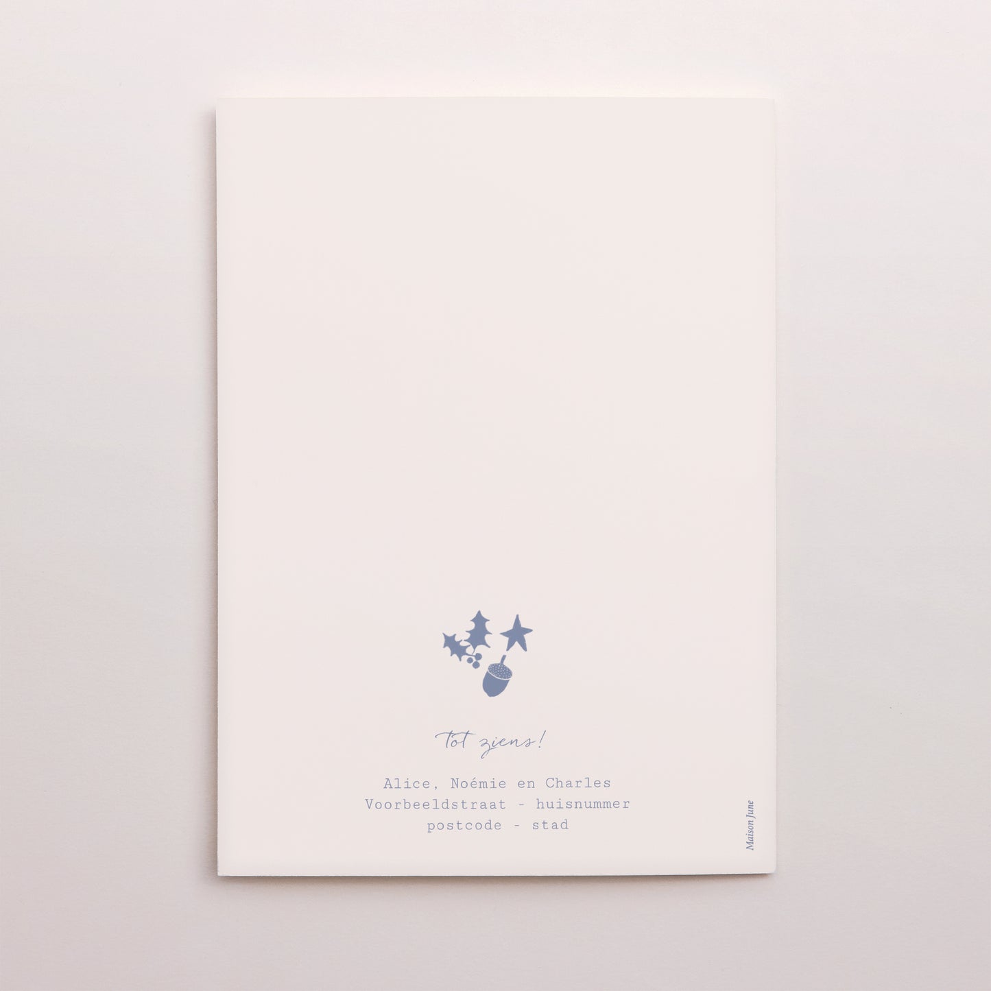 Kerstkaart Eindejaar Portret dubbele vouw blue christmas circulaire compositie foto N° 3