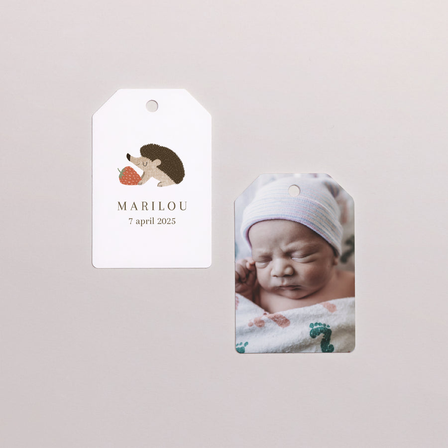 Cadeaulabel Geboorte Vlag egel, bessenmotief foto
